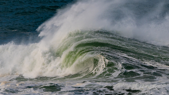 California Coastal National Monumnet 