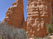 Red Canyon at Dixie National Forest