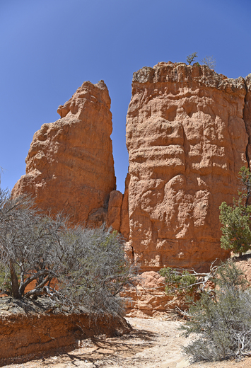 Red Canyon at Dixie National Forest