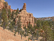 Red Canyon at Dixie National Forest