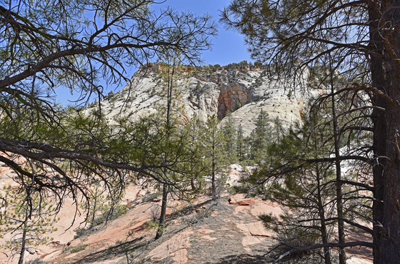 Zion National Park 