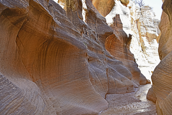 Grand Staircase Escalante National Monument