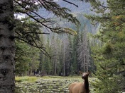 Rocky Mountain National Park
