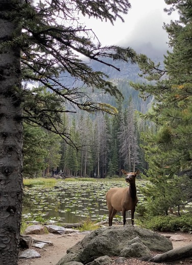 Rocky Mountain National Park