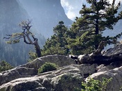 Rocky Mountain National Park 