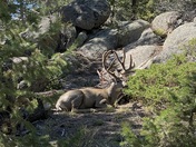 Rocky Mountain National Park 