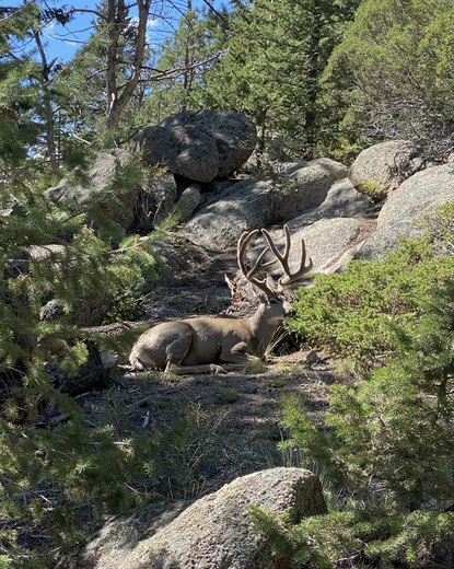 Rocky Mountain National Park 