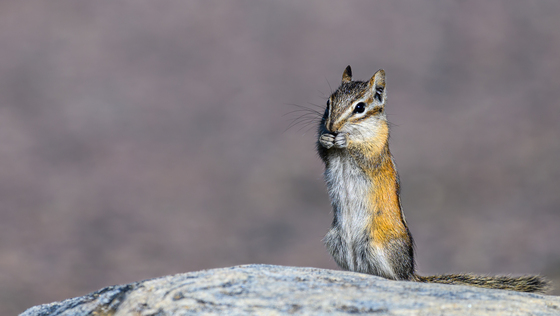 Rocky Mountain National Park
