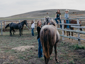 A yearling and a teenager 