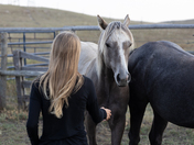 A yearling and a teenager 