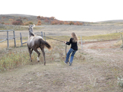 A yearling and a teenager 