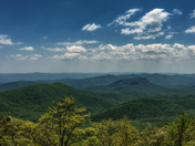 Pisgah National Forest
