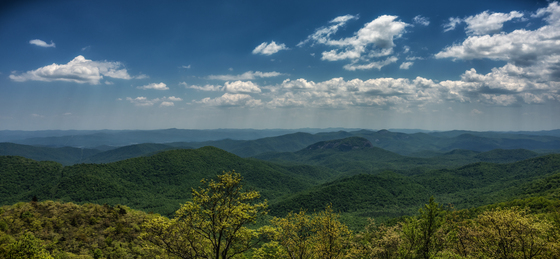 Pisgah National Forest