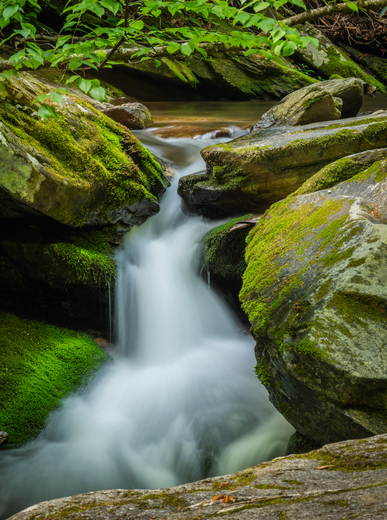 Catawba Falls, NC