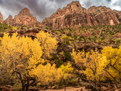 Zion National Park