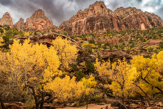 Zion National Park