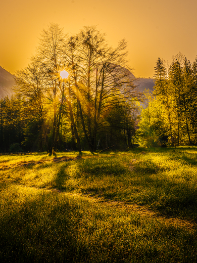 Yosemite National Park
