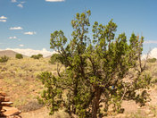 Wupatki National Monument