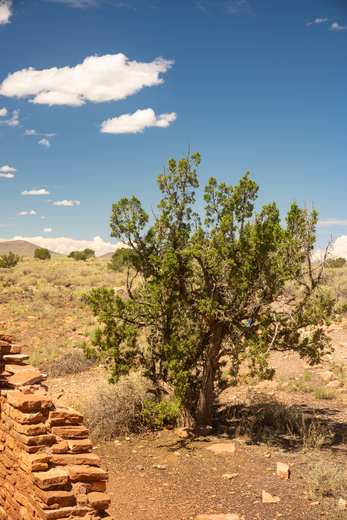 Wupatki National Monument