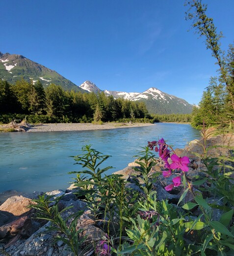 Chugach National Forest