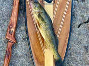 Boundary Waters Canoe Area Wilderness