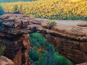 Coconino National Forest