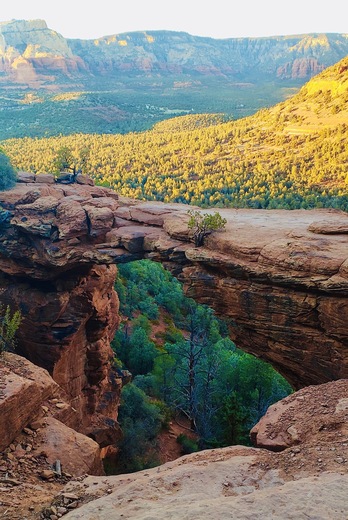 Coconino National Forest