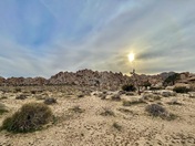 Joshua Tree National Park