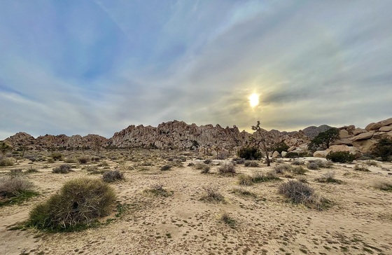 Joshua Tree National Park