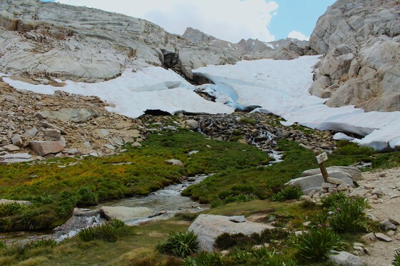 Inyo National Forest