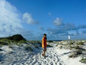 Bon Secour National Wildlife refuge