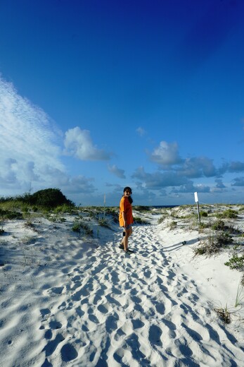 Bon Secour National Wildlife refuge