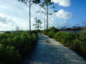 Bon Secour NWR