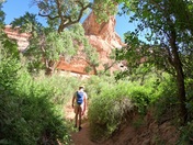 Natural Bridges National Monument