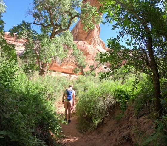 Natural Bridges National Monument