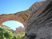 Natural Bridges National Monument