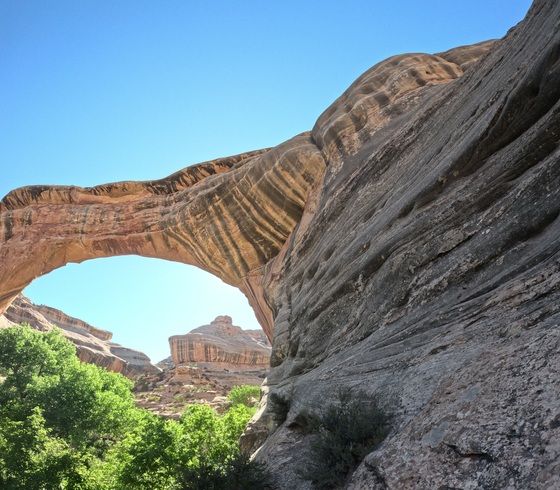 Natural Bridges National Monument