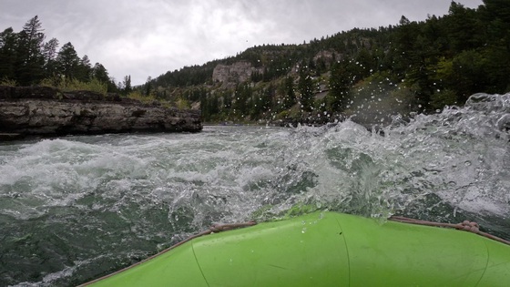 Bridger Teton National Forest