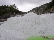 Bridger Teton National Forest