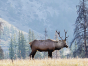 In the Cool morning Air