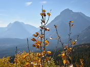 Glacier National Park 