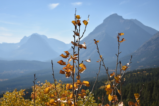 Glacier National Park 