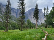 Yosemite National Park