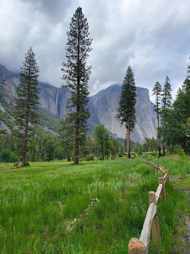 Yosemite National Park
