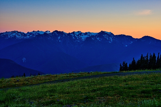 Olympic National Park