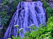Mount Rainier National Park