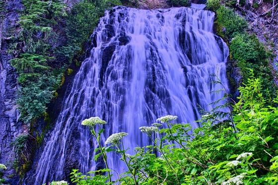 Mount Rainier National Park