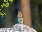 Rocky Mountain National Park