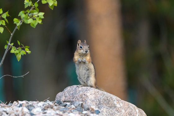 Rocky Mountain National Park