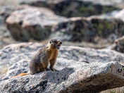 Rocky Mountain National Park